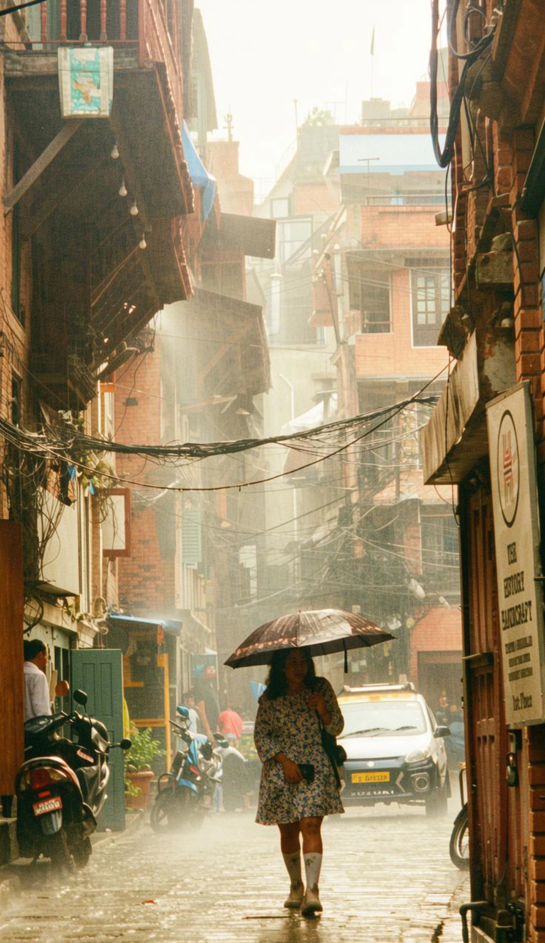 Lady in the rain